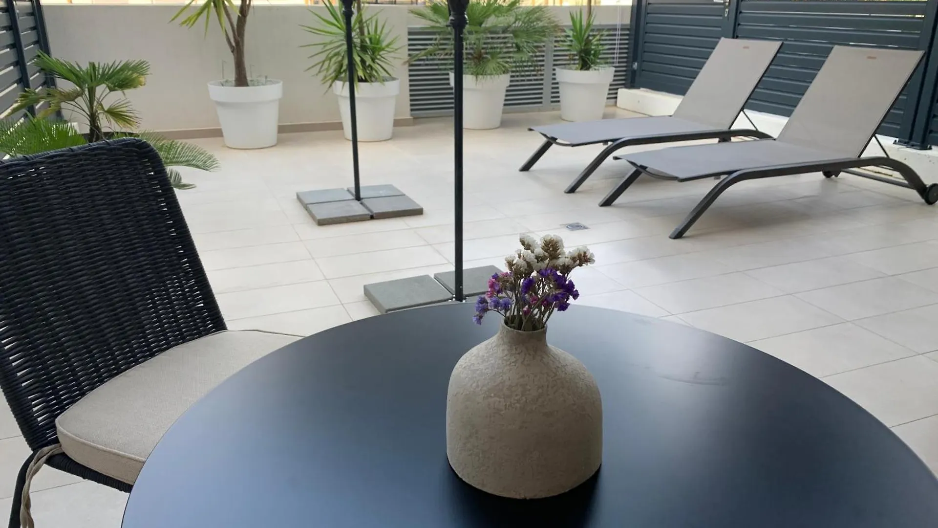 Capitol Suites زادار 0*,